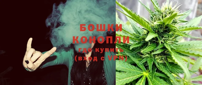 наркота  Тосно  мориарти телеграм  Канабис THC 21% 